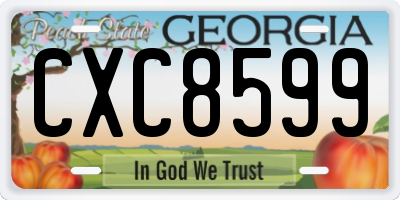 GA license plate CXC8599