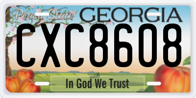 GA license plate CXC8608