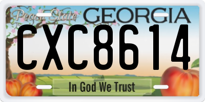 GA license plate CXC8614