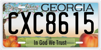 GA license plate CXC8615