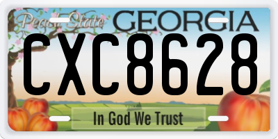 GA license plate CXC8628