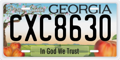 GA license plate CXC8630