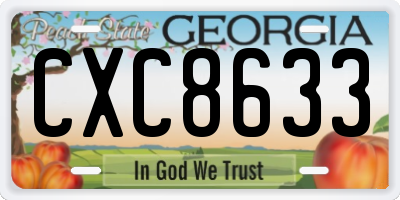 GA license plate CXC8633