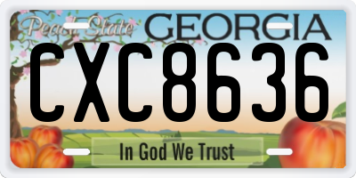 GA license plate CXC8636