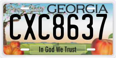 GA license plate CXC8637