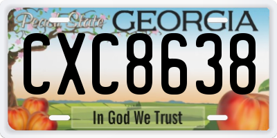 GA license plate CXC8638