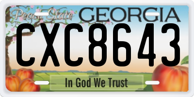 GA license plate CXC8643