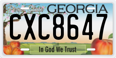 GA license plate CXC8647