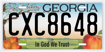 GA license plate CXC8648