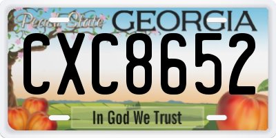 GA license plate CXC8652