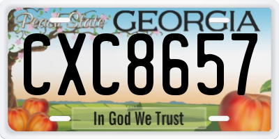 GA license plate CXC8657