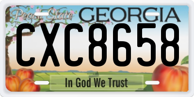 GA license plate CXC8658