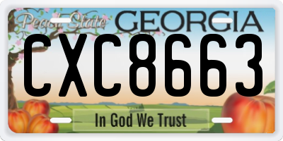 GA license plate CXC8663