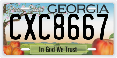 GA license plate CXC8667