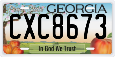 GA license plate CXC8673