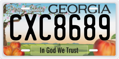 GA license plate CXC8689