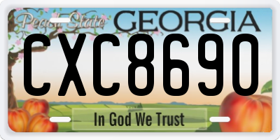 GA license plate CXC8690