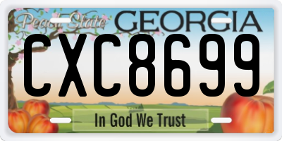 GA license plate CXC8699