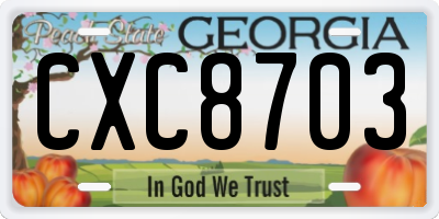 GA license plate CXC8703