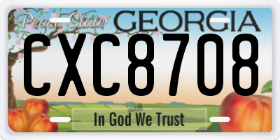 GA license plate CXC8708
