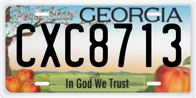 GA license plate CXC8713