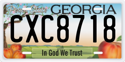 GA license plate CXC8718