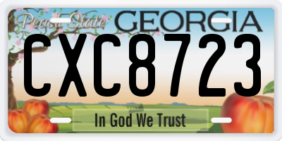GA license plate CXC8723