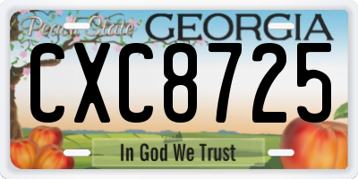 GA license plate CXC8725