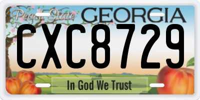 GA license plate CXC8729
