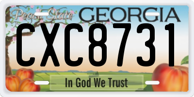 GA license plate CXC8731