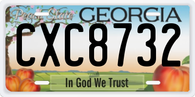 GA license plate CXC8732