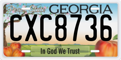 GA license plate CXC8736