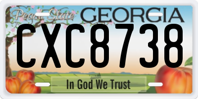 GA license plate CXC8738