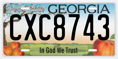 GA license plate CXC8743