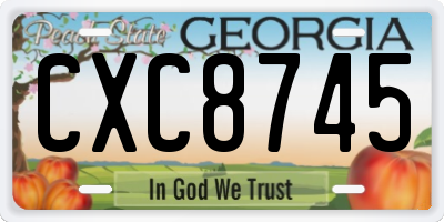GA license plate CXC8745