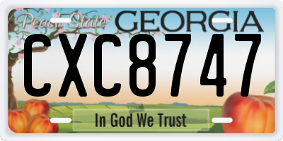 GA license plate CXC8747