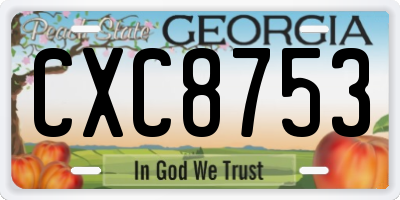 GA license plate CXC8753