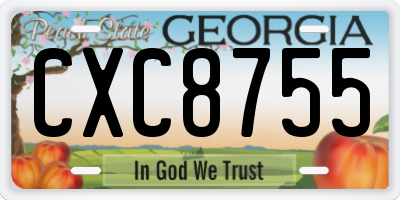 GA license plate CXC8755