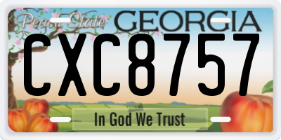GA license plate CXC8757