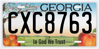 GA license plate CXC8763