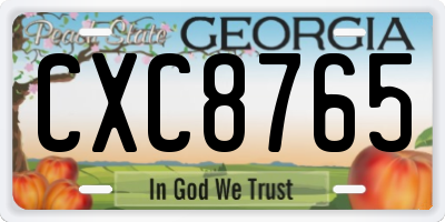 GA license plate CXC8765