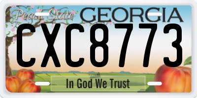 GA license plate CXC8773
