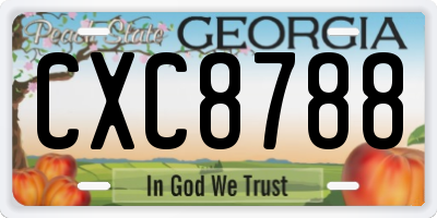 GA license plate CXC8788