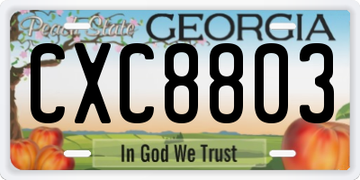 GA license plate CXC8803