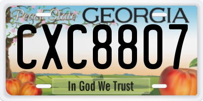 GA license plate CXC8807