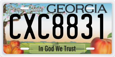 GA license plate CXC8831