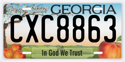 GA license plate CXC8863