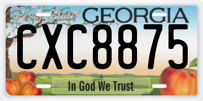 GA license plate CXC8875