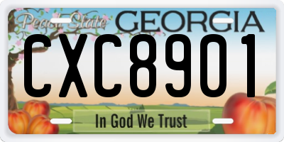 GA license plate CXC8901