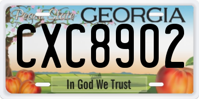 GA license plate CXC8902